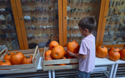 Halloween is coming